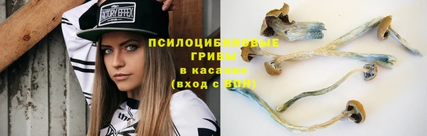дмт Беломорск