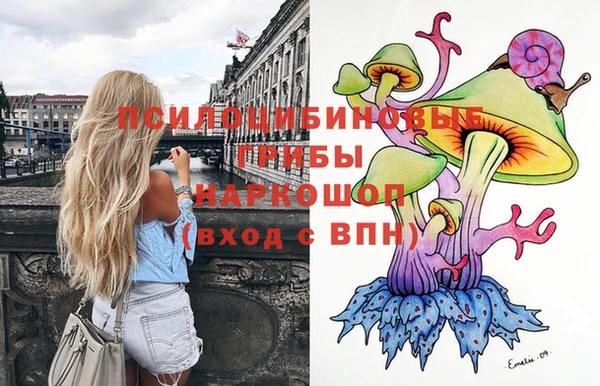 дмт Беломорск