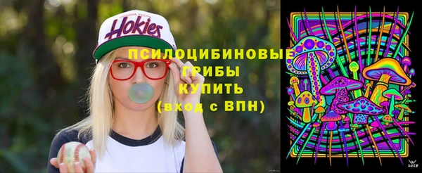 ешки Богданович